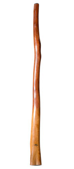Tristan O'Meara Didgeridoo (TM398)